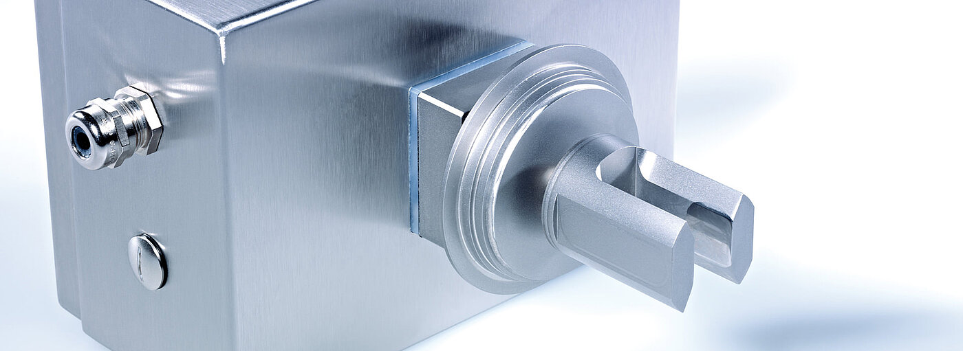 Sensore di immersione Varivent